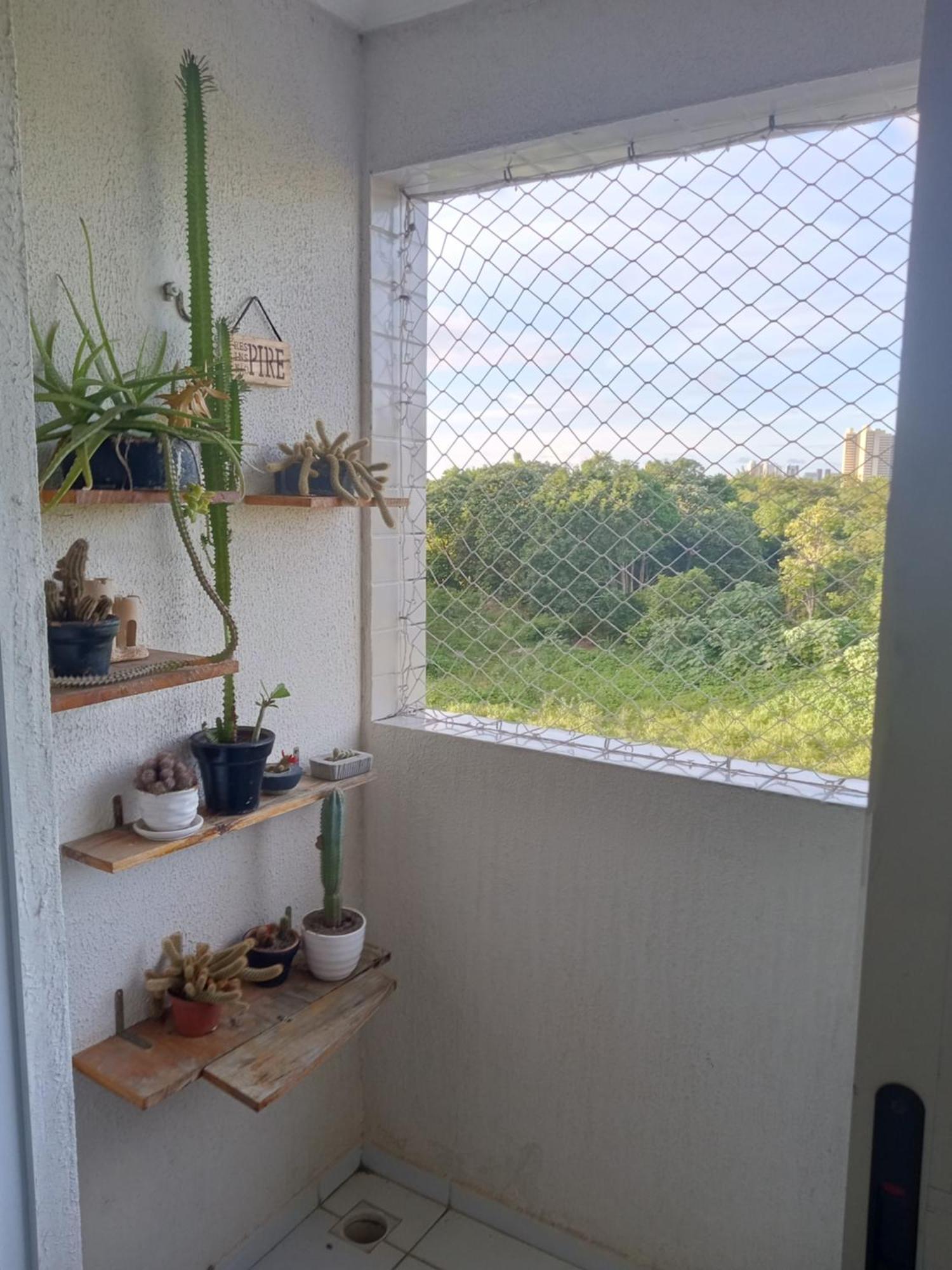 Vista *